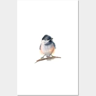 Chickadee Posters and Art